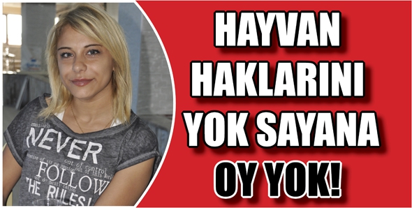 HAYVAN HAKLARINI YOK SAYANA OY YOK!