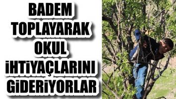BADEM TOPLAYARAK OKUL İHTİYA&Ccedil;LARINI GİDERİYORLAR