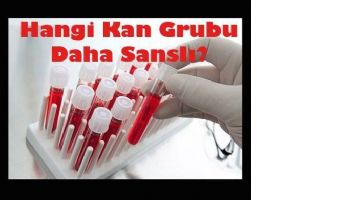 Hangi kan grubu daha şanslı?
