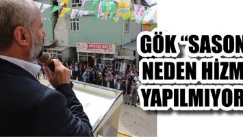 G&Ouml;K &ldquo;SASON&rsquo;A NEDEN HİZMET YAPILMIYOR?&rdquo;