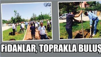 FİDANLAR, TOPRAKLA BULUŞTU