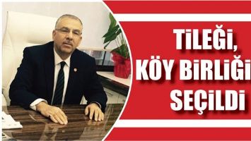 TİLEĞİ, K&Ouml;Y BİRLİĞİNE SE&Ccedil;İLDİ