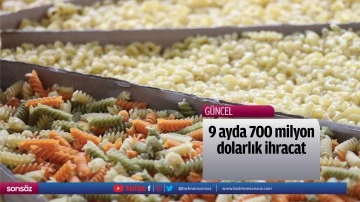 9 ayda 700 milyon dolarlık ihracat