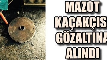 MAZOT KA&Ccedil;AK&Ccedil;ISI G&Ouml;ZALTINA ALINDI