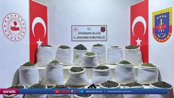 914 kilogram esrar ve 7 bin 350 k&ouml;k Hint keneviri ele ge&ccedil;irildi