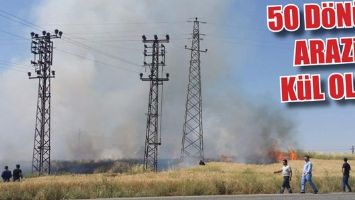 50 D&Ouml;N&Uuml;M ARAZİ, K&Uuml;L OLDU