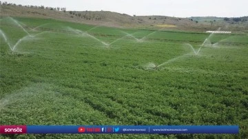946 dekar tarım arazisi kiraya verilecek