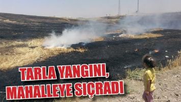 TARLA YANGINI, MAHALLEYE SI&Ccedil;RADI