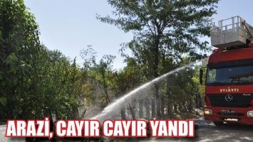 ARAZİ, CAYIR CAYIR YANDI
