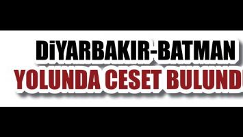 DİYARBAKIR-BATMAN YOLUNDA CESET BULUNDU!