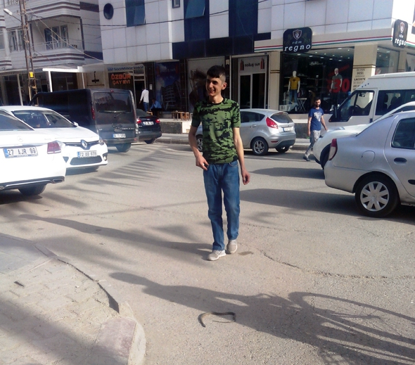 1 METRELİK YILAN, KORKUTTU