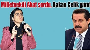 MİLLETVEKİLİ AKAT SORDU, BAKAN &Ccedil;ELİK YANITLADI