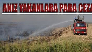 ANIZ YAKANLARA PARA CEZASI