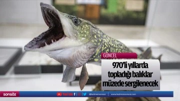 970'li yıllarda topladığı balıklar m&uuml;zede sergilenecek