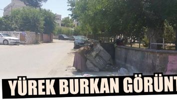 Y&Uuml;REK BURKAN G&Ouml;R&Uuml;NT&Uuml;...