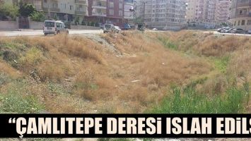 &ldquo;&Ccedil;AMLITEPE DERESİ ISLAH EDİLSİN&rdquo;