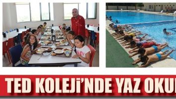 TED KOLEJİ&rsquo;NDE YAZ OKULU