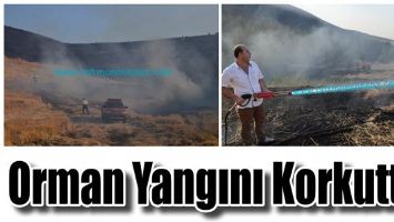 ORMAN YANGINI KORKUTTU!