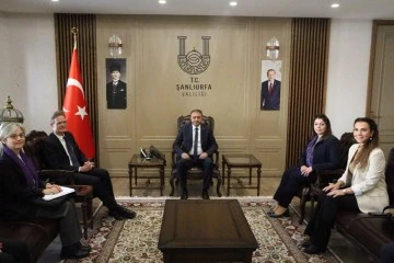 AB T&uuml;rkiye Delegasyonu Başkanı Meyer-Landrut, temaslarda bulundu