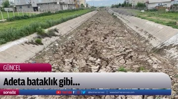 Adeta bataklık gibi&hellip;