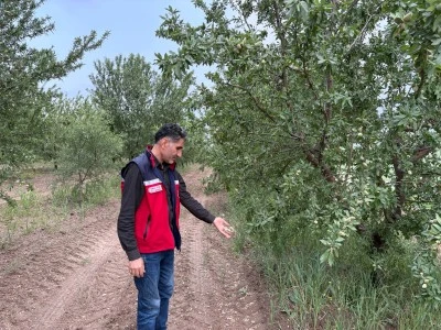 Adıyaman'da dolu etkili oldu