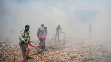 Adıyaman'da orman yangını