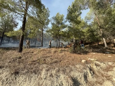 Adıyaman'da ormanlık alanda &ccedil;ıkan yangına m&uuml;dahale ediliyor