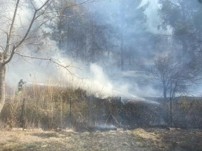 Adıyaman'da &ouml;rt&uuml; yangını s&ouml;nd&uuml;r&uuml;ld&uuml;