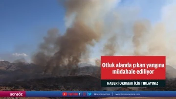 Adıyaman'da otluk alanda &ccedil;ıkan yangına m&uuml;dahale ediliyor