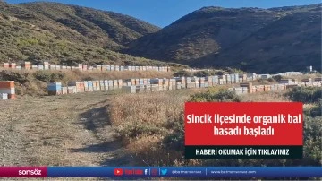 Adıyaman'ın Sincik il&ccedil;esinde organik bal hasadı başladı