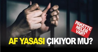 Af yasası &ccedil;ıkıyor mu? Pakette neler var?