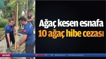 Ağa&ccedil; kesen esnafa 10 ağa&ccedil; hibe cezası