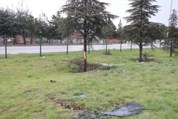 Ağaca &ccedil;arpan otomobildeki 1 kişi &ouml;ld&uuml;, 3 kişi yaralandı