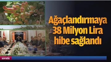 Ağaçlandırmaya 38 Milyon Lira hibe sağlandı