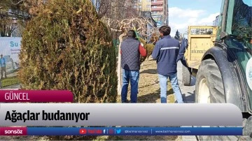 Ağa&ccedil;lar budanıyor