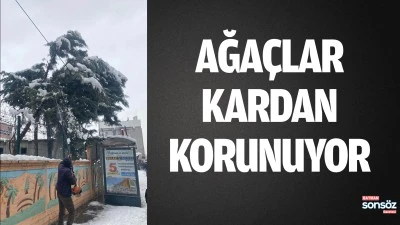Ağa&ccedil;lar kardan korunuyor