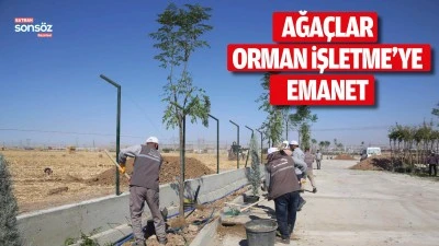Ağa&ccedil;lar, Orman İşletme&rsquo;ye emanet