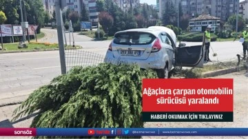 Ağa&ccedil;lara &ccedil;arpan otomobilin s&uuml;r&uuml;c&uuml;s&uuml; yaralandı