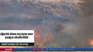 Ağa&ccedil;lık alana sı&ccedil;rayan anız yangını s&ouml;nd&uuml;r&uuml;ld&uuml;