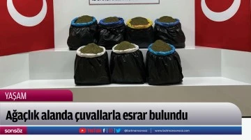 Ağa&ccedil;lık alanda &ccedil;uvallarla esrar bulundu