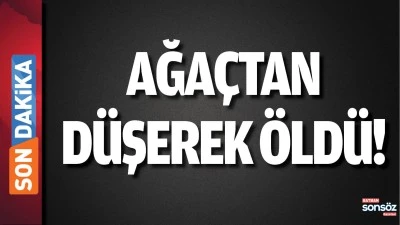 Ağa&ccedil;tan d&uuml;şerek &ouml;ld&uuml;!