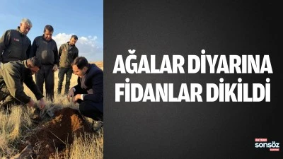 Ağalar Diyarına fidanlar dikildi