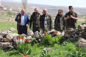 Ağlayan gelinleri korumak i&ccedil;in seferberlik 