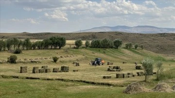 Ağrı'da &ccedil;ift&ccedil;iler hayvanlarının kışlık yem ihtiyacını karşılamak i&ccedil;in yoğun mesaide
