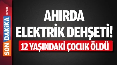 Ahırda elektrik dehşeti!