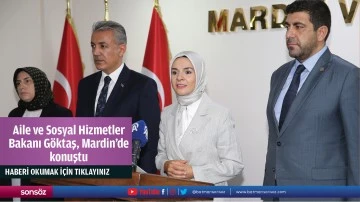 Aile ve Sosyal Hizmetler Bakanı G&ouml;ktaş, Mardin'de konuştu