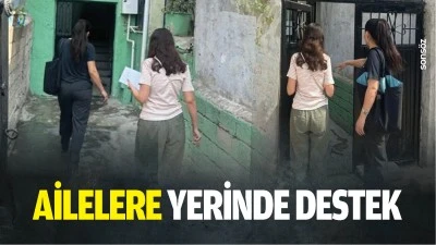 Ailelere yerinde destek