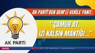 AK Parti&rsquo;den DEM&rsquo;li vekile yanıt;