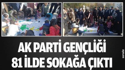 AK Parti Gen&ccedil;liği, 81 ilde sokağa &ccedil;ıktı 