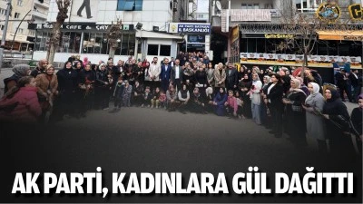 AK Parti, kadınlara g&uuml;l dağıttı